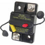 Imagen de Interruptor 120 A